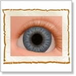 7505 - Eyes :  HQ Acryl Eyes Victorian Blue 
