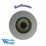 631200 - Eyes : Polyglass ogen  Sunflower 