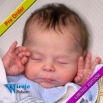 AW300415  Dollkit 20 - Christopher - LE ..... -  € 119,90 - Pre Order
